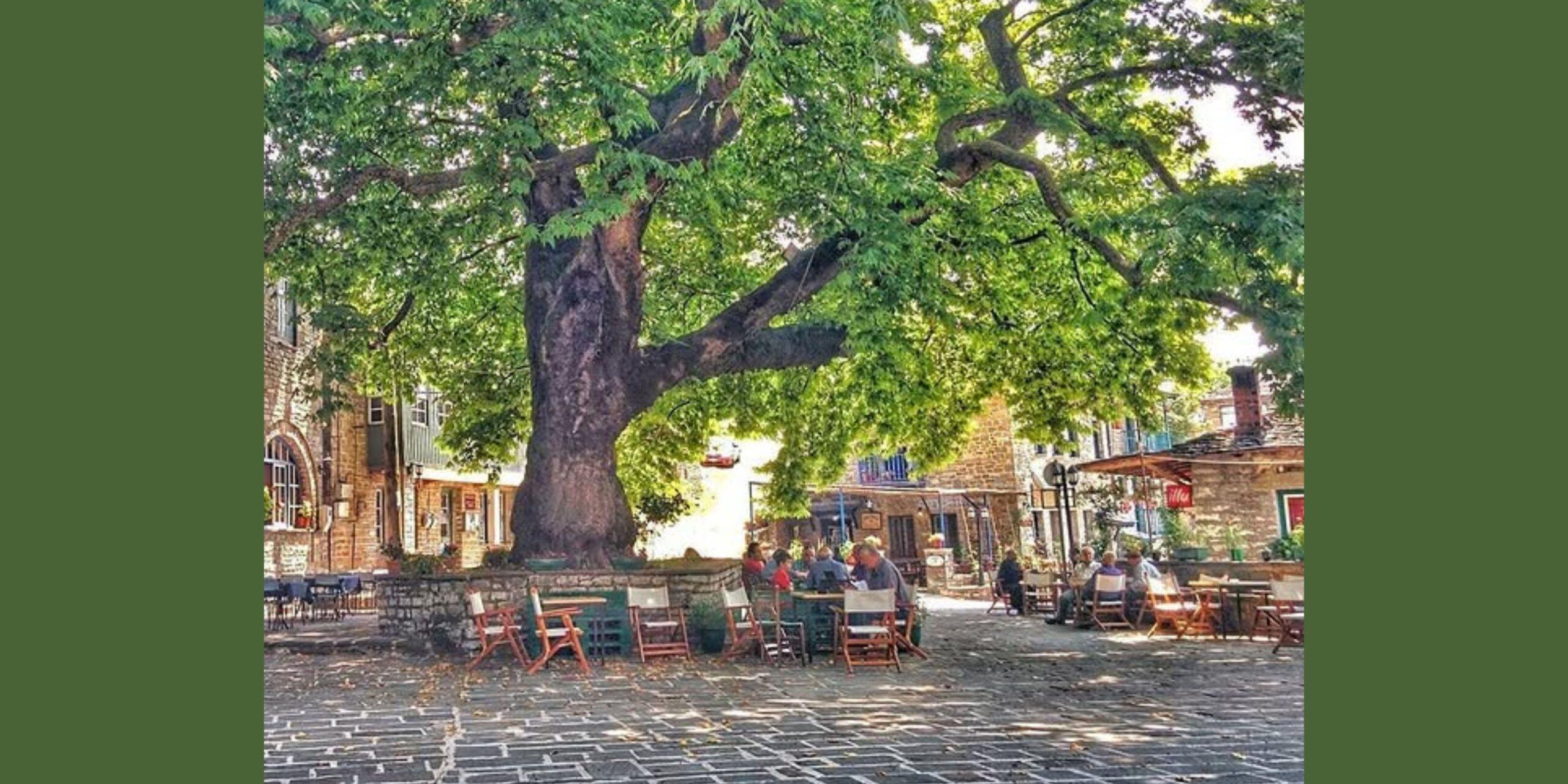 Τσεπέλοβο Ζαγορίου: Το χωριό με τα πέτρινα γεφύρια