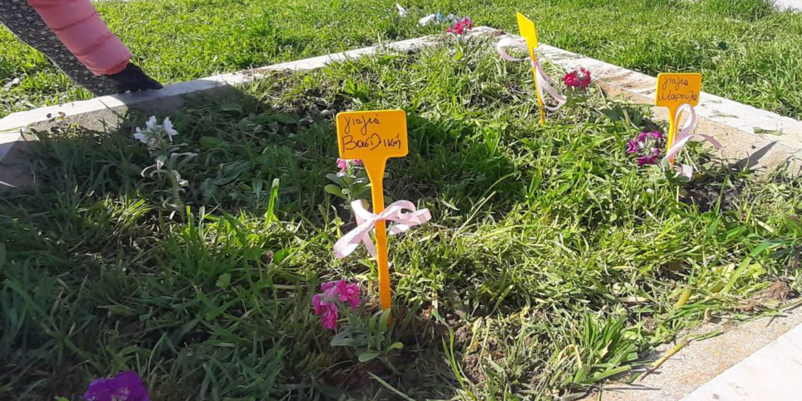 Κάτω Καμήλα Σερρών: Πραγματοποιήθηκε λουλουδοφύτευση για όσους έφυγαν από την ζωή