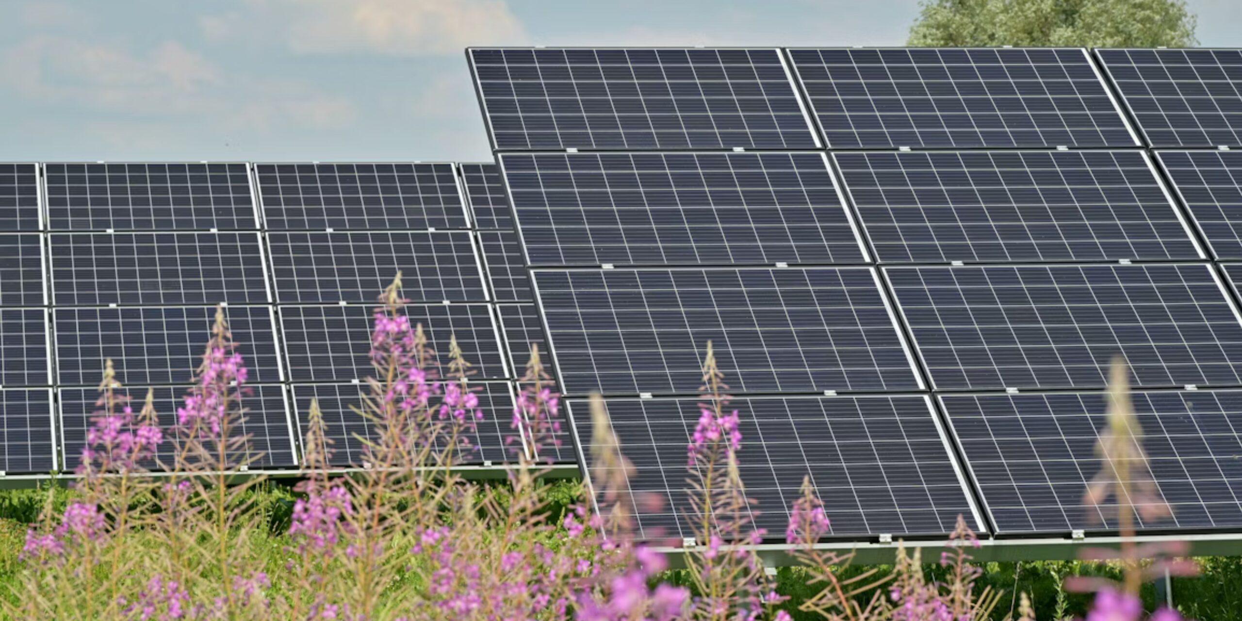 Κάλεσμα της ΚΟΒ Αμφίπολης για την κατασκευή φωτοβολταϊκού πάρκου μεταξύ Ροδολίβους και Μικρού Σουλίου